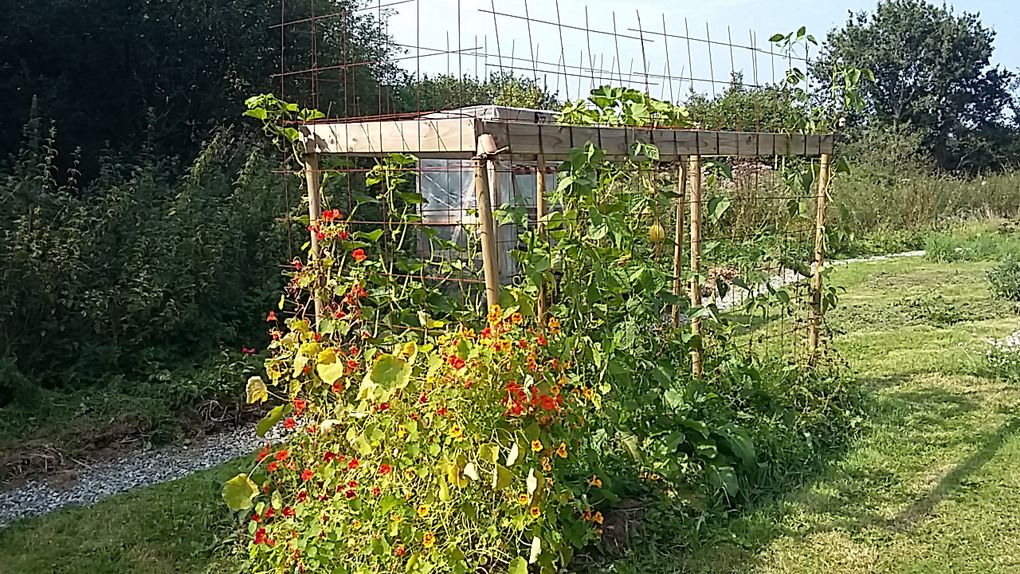 La beauté de l'effervescence ! 