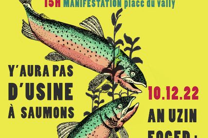 Contre la ferme usine à saumons de Plouisy : rendez-vous dans la rue !