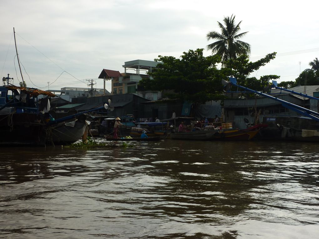 Mekong delta. 
1st day : crossing the delta, to arrive at Can Tho before evening.
2nd day : continuing visit of the delta : floating market of Can Tho, noodle factory, garden, crocodile farm, temple.
3rd day : towards Cambodia via the Mekong delta