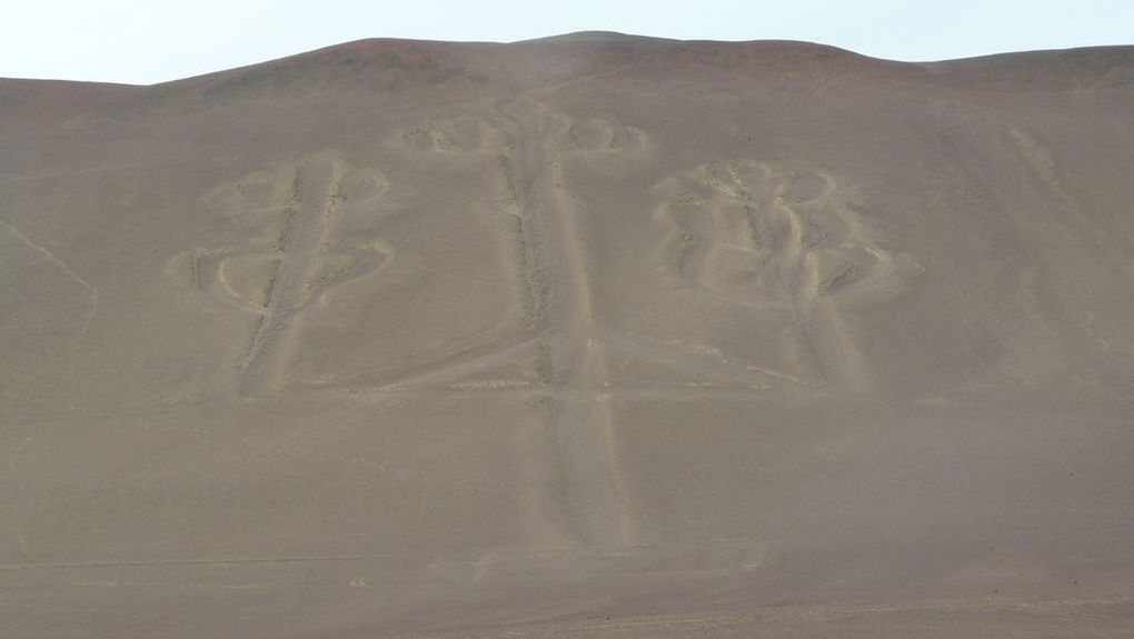 Album - ayacucho--desert-peruvien-et-nos-amis-les-oiseaux