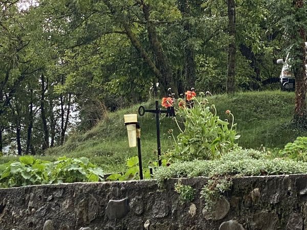 La Mure-Argens sous la pluie : une symphonie de nature