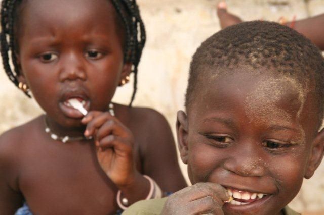 Album - Sine-Saloum-Senegal