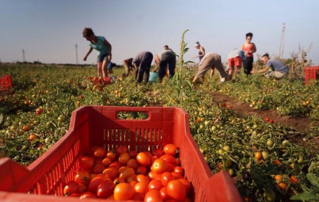 Il decreto Dignità è legge! Persi 80mila posti di lavoro