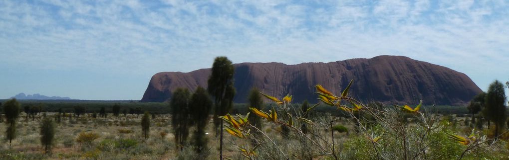 Album - 25- De Darwin à Uluru, NT, août 2011