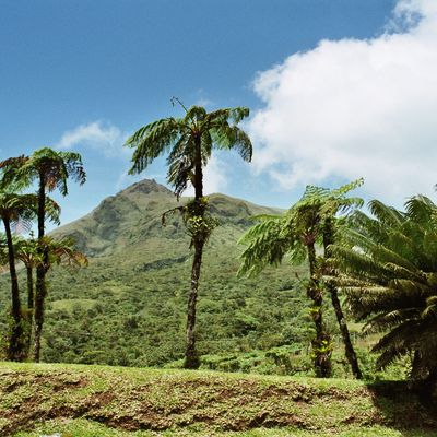 Sous le soleil des Antilles