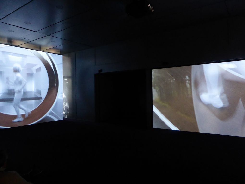 The Ways of Folding Space & Flying. Pavillon de la Corée, Giardini © Le Curieux des arts Gilles Kraemer. 56ème exposition Internationale d'Art - la Biennale di Venezia. 7 mai & 27 octobre 2015