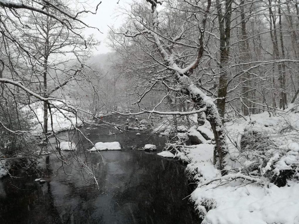 Le Plateau de Millevache et ses nombreux lacs, et rivières, une merveille !