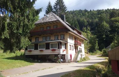 Visite Forêt Noire