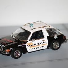 AMC Pacer "Police"