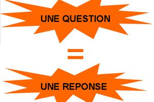 "Une question = une réponse". 6 et 20 novembre 2009