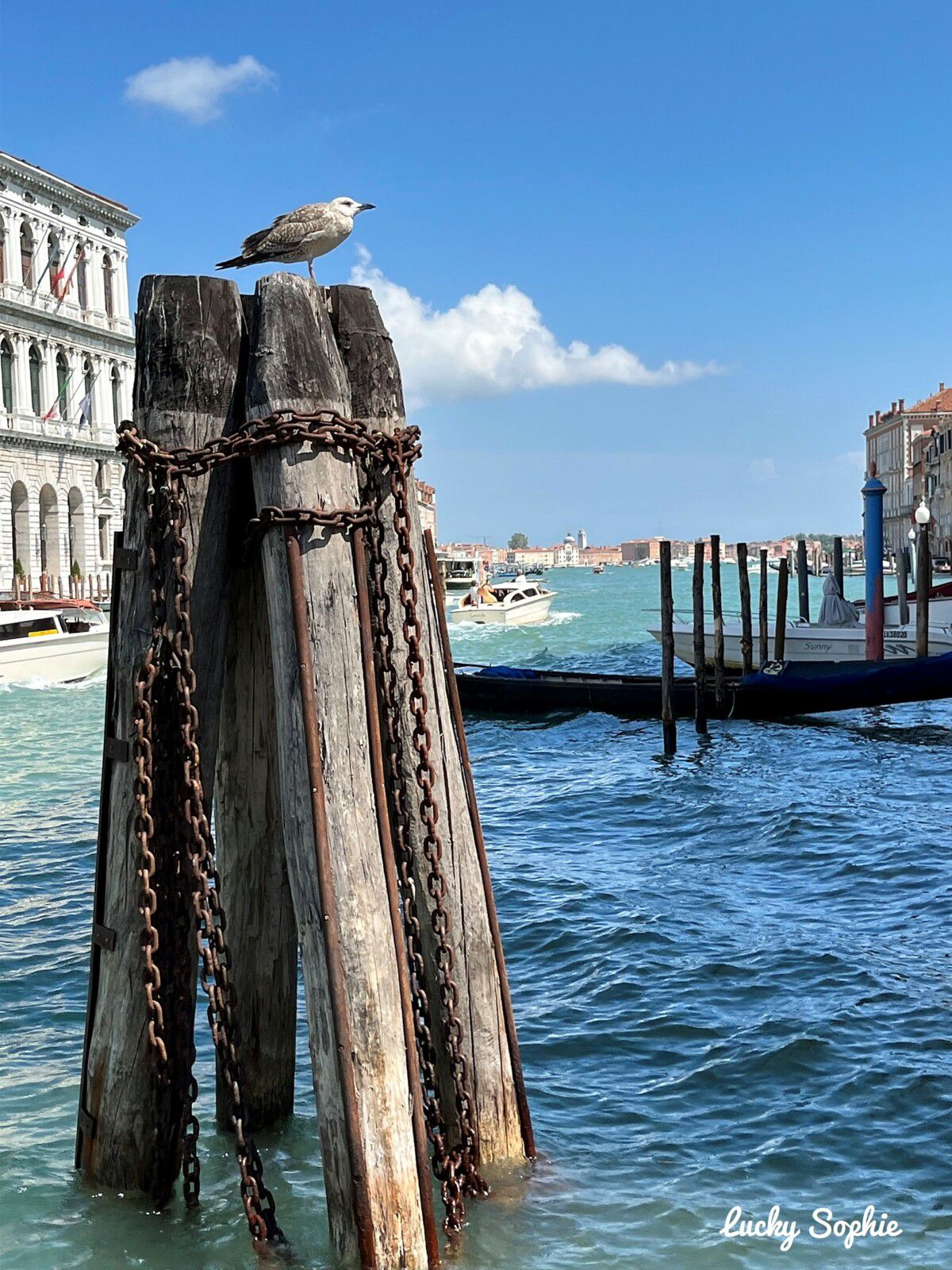 Visiter Venise en famille : 2 jours géniaux avec des ados