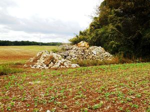 Un énorme tas de cailloux en lisière du bois