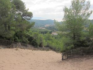 Boucle : Port de la madrague - domaine de la martelle - dune de sable - chemin des vignes - calanque de port d'alon - chemin du littoral -pointe Fauconnière -pointe du grenier - Port de la madrague 