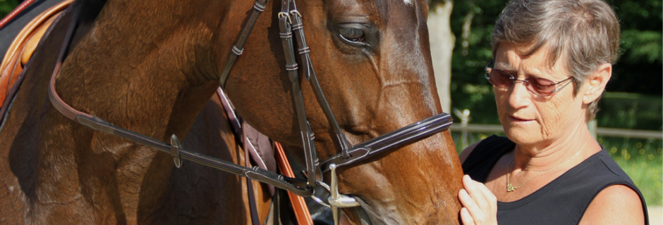 Ces chevaux trop lents de Maisons-Laffitte qui finissent dans nos assiettes