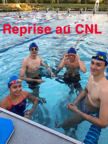 club natation lingolsheim