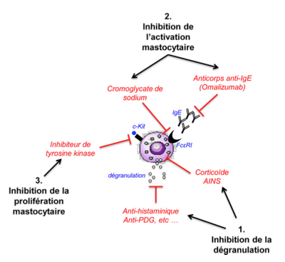 Mastocytes et inflammations