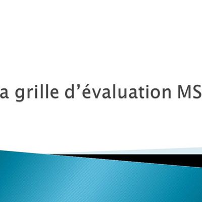 Les grilles d'évaluation MSP