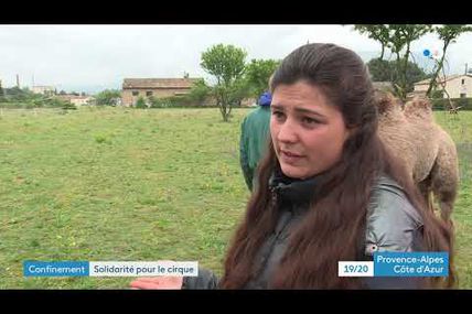 France 3 Provence-Alpes-Côte d'Azur - Sujet TV JRI : aide au cirque et ses animaux en Vaucluse
