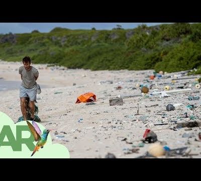 Isla Henderson, la isla más contaminada del mundo