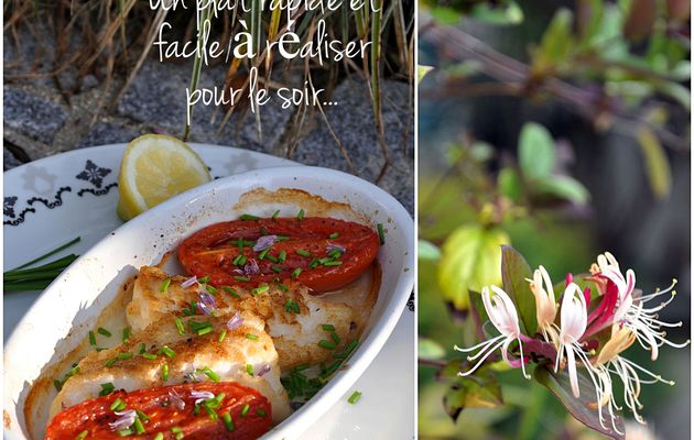 Filet de julienne au four et ses tomates