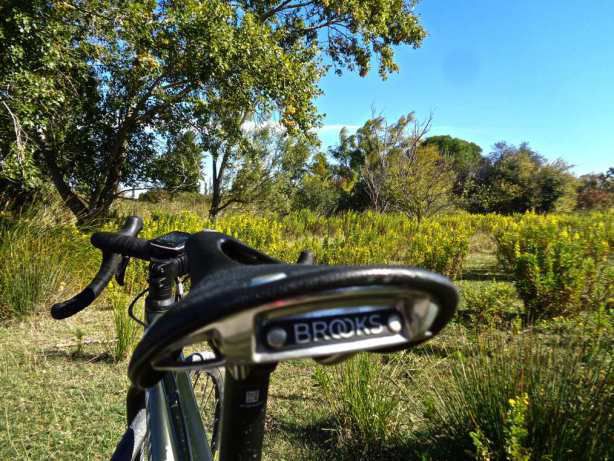 Le retour de Brooks dans la course avec la Cambium C15