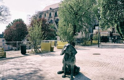 Les Gardiens de la Ville..