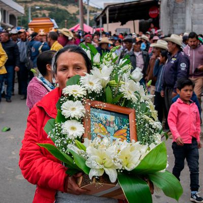 Le protecteur des papillons Monarque assassiné au Mexique