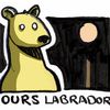 L'ours labrador