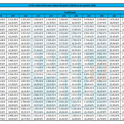 Grille salaire Soléa au 1er janvier 2026