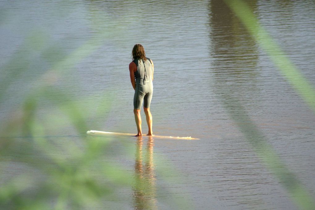 Des mascarets en gros plans, des instantanés de la vagues