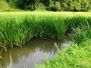 La Haute Vallée de la Bièvre au départ de Saint-Quentin-en-Yvelines