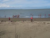 Salines, repas poisson, plage et mangrove