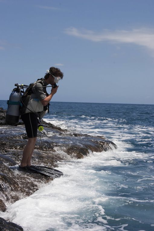 Méthode de suivi environnemental au Cap la Houssaye (Réunion) permettant d’évaluer l’état de santé d’un récif et de détecter des changements
écologiques liés à des perturbations naturelles ou humaines.