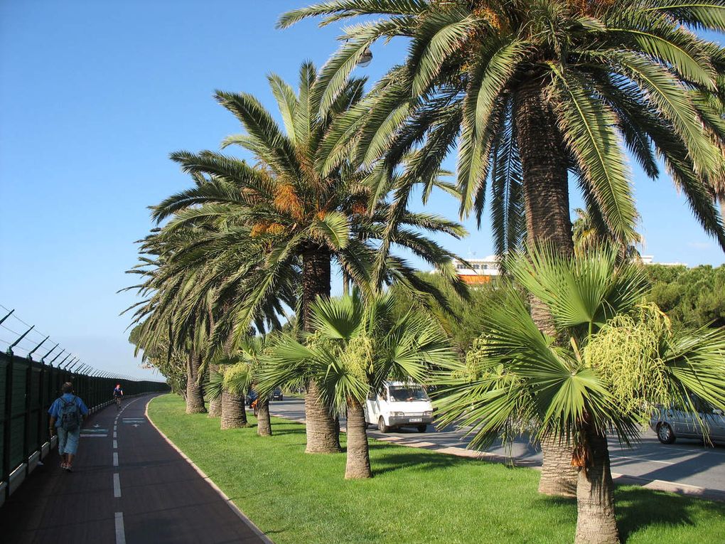 Réalisation