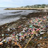 A Marseille, tollé après le déversement de tonnes de déchets dans la mer