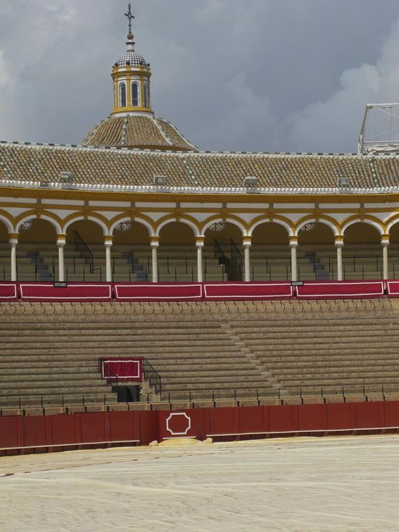 Ocre du sable et rouge sang....arènes construites en 1761. Bâtiment de style baroque tardif.18.000 spectateurs. Pendant une corrida 6 taureaux sont mis à mort par 3 matadors...