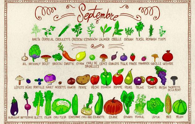 Liste des fruits et légumes pour le mois de Septembre 