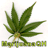 [I-doser]Test de Marijuana QH