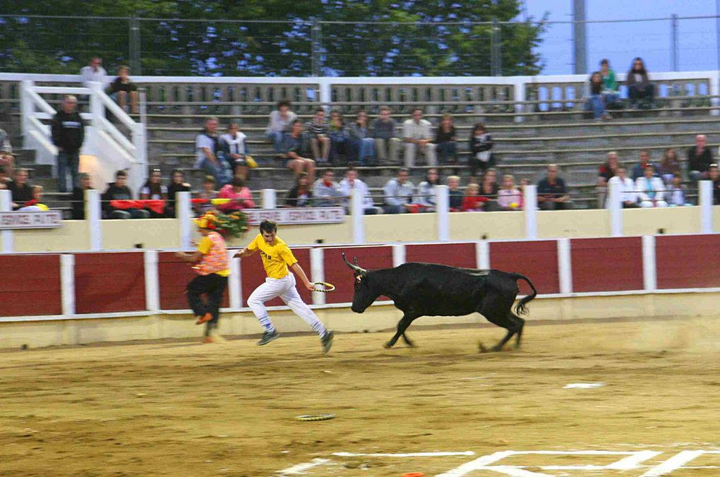 Arènes Parentis 13-08-2010
Croque-vache contre les Pompiers!!