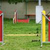 Agility : notre cane corso passe en A