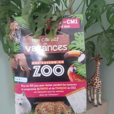 Les cahiers de vacances chez Larousse