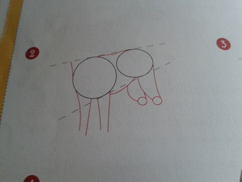 comment dessiner un chien debout