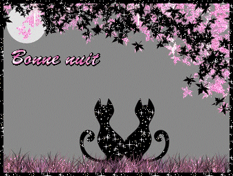 Image Animee Bonne Nuit Mon Amour