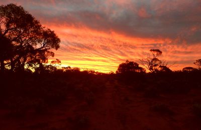 Alice Springs & the Red Center