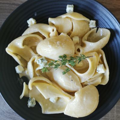 Conchiglione au roquefort et au miel