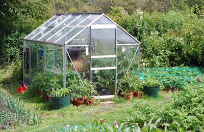 Greenhouses Glass: Enhancing Your Gardening Experience