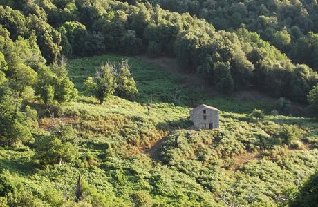 UNE PETITE MAISON DANS LA PRAIRIE.