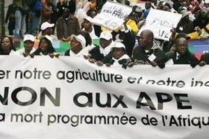 Cameroun: le Parlement  autorise le président de la République à ratifier l’APE d’étape avec l’UE