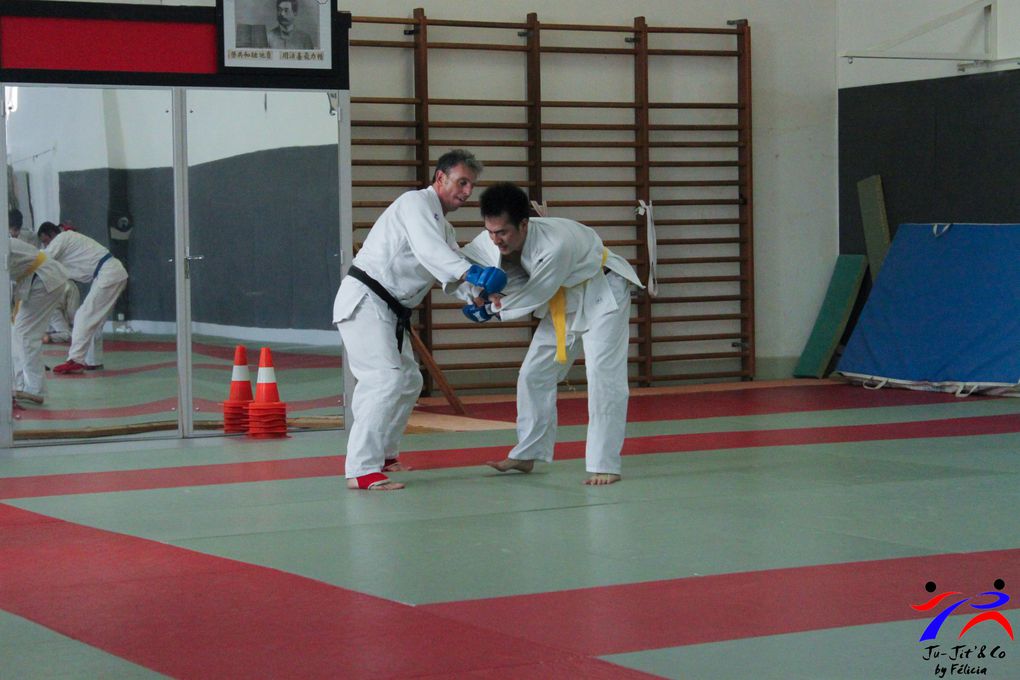 Jujitsu combat 06 2013 avec Sébastien Sanési organisé comme d'habitude par Ludo et Fred