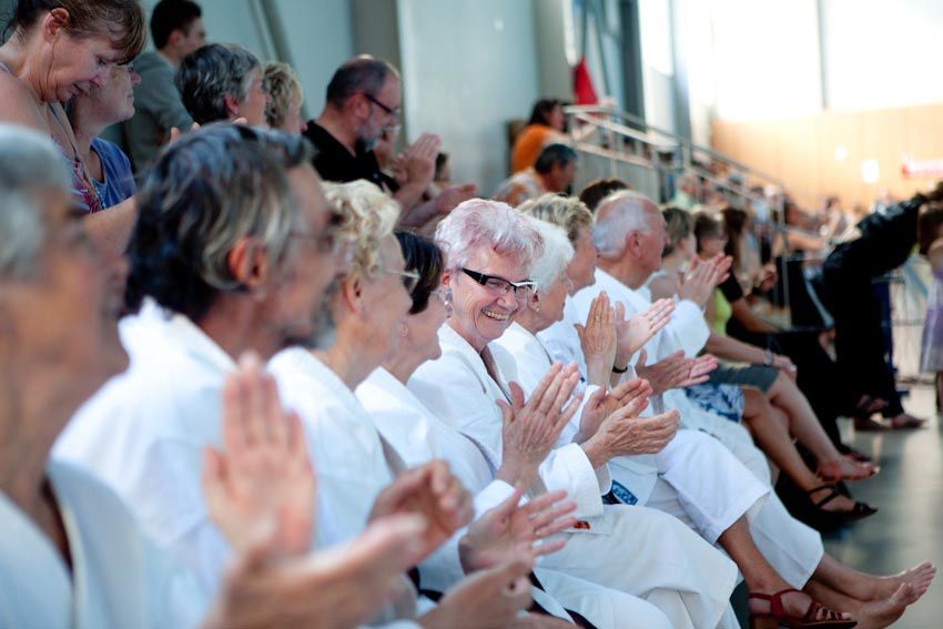 Lors de la dernière fête du club (Juin 2011), la section senior du SVKC en association avec la section Qi Gong et les membres du groupe cascade ont présentés une démonstration artistique de leur travail.